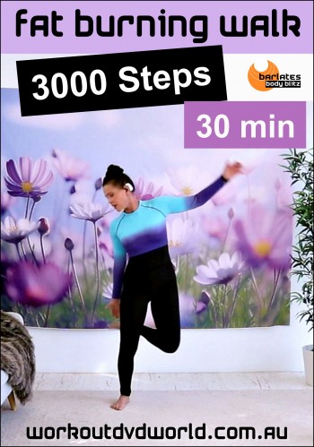 Fat Burning Walk & Talk 3000 Steps DVD