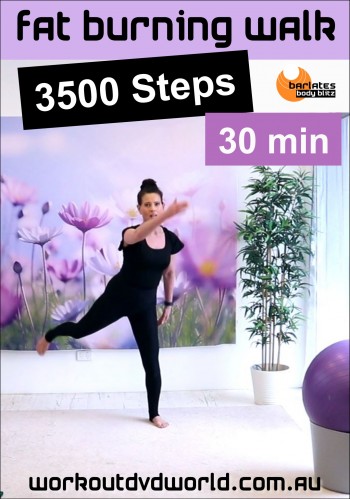 Fat Burning Walk & Talk 3500 Steps Download