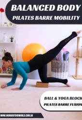 Balanced Body Ball and Block Download