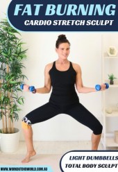 Fat Burn Cardio Stretch Sculpt DVD