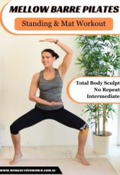 Mellow Barre DVD