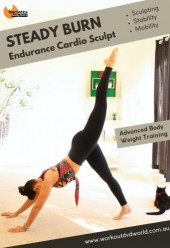 Steady Burn Functional DVD