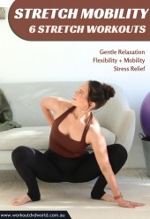 Stretch Mobility 6 Workout Series Downloads
